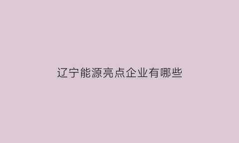 辽宁能源亮点企业有哪些