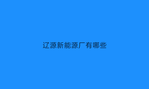 辽源新能源厂有哪些