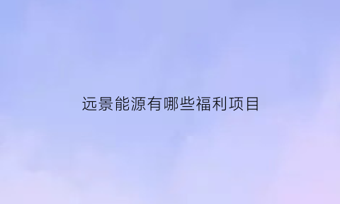 远景能源有哪些福利项目