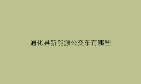 通化县新能源公交车有哪些