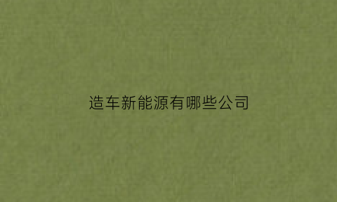 造车新能源有哪些公司(中国新能源造车企业)