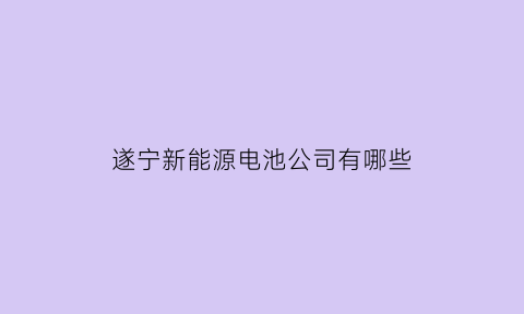 遂宁新能源电池公司有哪些