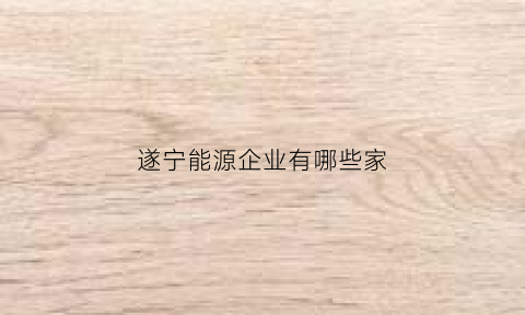 遂宁能源企业有哪些家