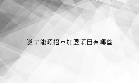 遂宁能源招商加盟项目有哪些