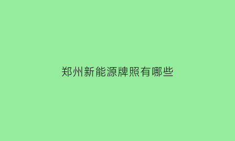 郑州新能源牌照有哪些