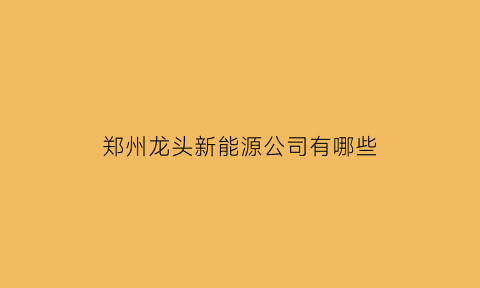 郑州龙头新能源公司有哪些