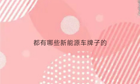 都有哪些新能源车牌子的