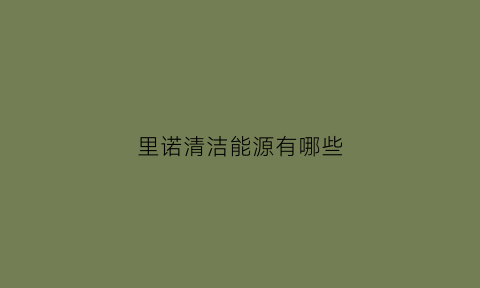 里诺清洁能源有哪些(里诺清洁能源有哪些公司)