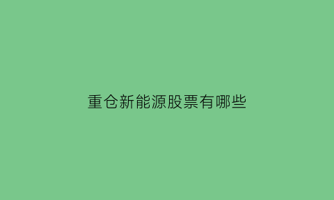 重仓新能源股票有哪些