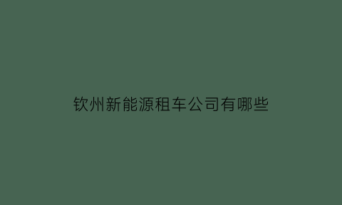 钦州新能源租车公司有哪些