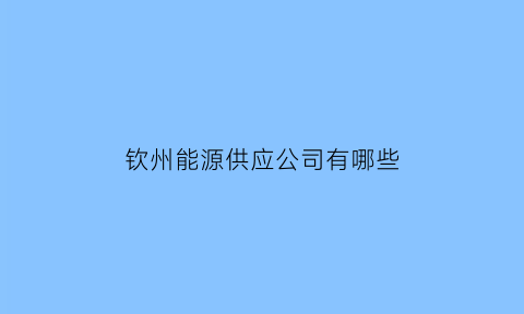 钦州能源供应公司有哪些