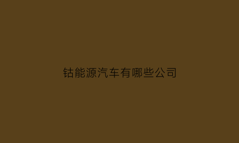 钴能源汽车有哪些公司