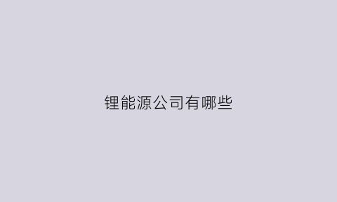 锂能源公司有哪些