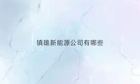 镇雄新能源公司有哪些