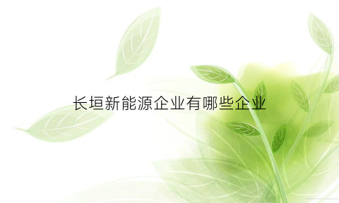 长垣新能源企业有哪些企业