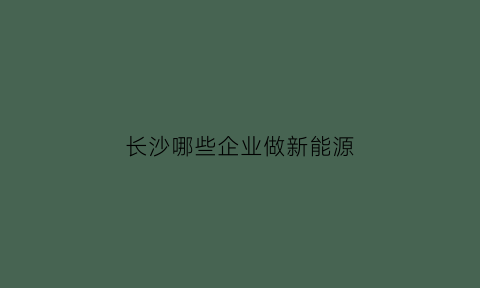 长沙哪些企业做新能源