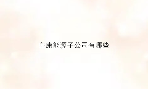 阜康能源子公司有哪些