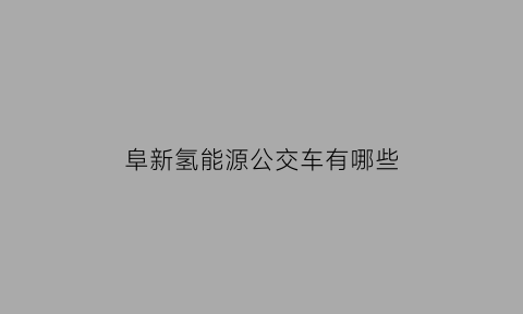 阜新氢能源公交车有哪些