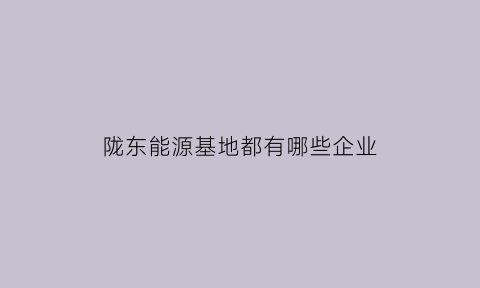 陇东能源基地都有哪些企业(陇东能源公司)