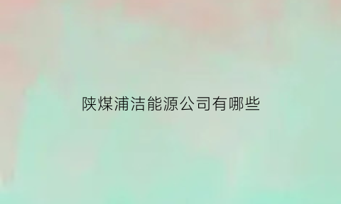 陕煤浦洁能源公司有哪些