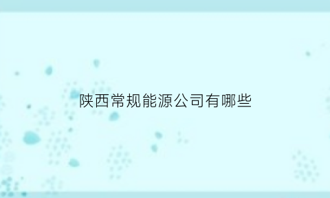 陕西常规能源公司有哪些