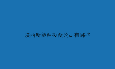 陕西新能源投资公司有哪些