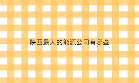 陕西最大的能源公司有哪些