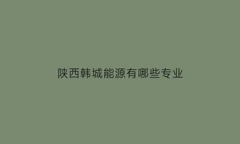 陕西韩城能源有哪些专业