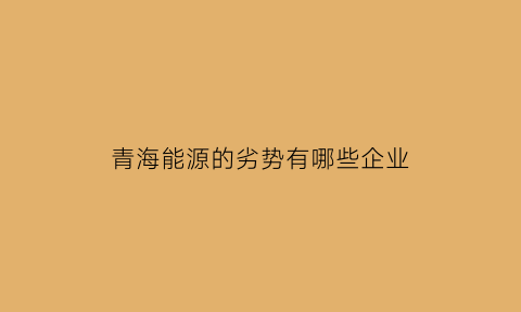 青海能源的劣势有哪些企业