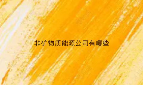 非矿物质能源公司有哪些