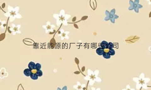 靠近能源的厂子有哪些公司