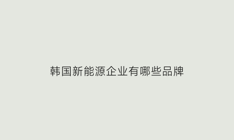 韩国新能源企业有哪些品牌(韩国新能源电池)