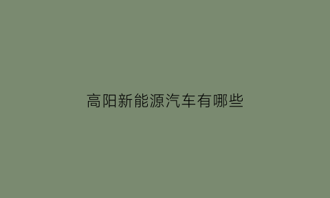 高阳新能源汽车有哪些