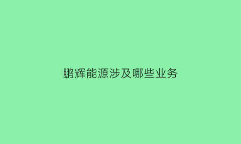 鹏辉能源涉及哪些业务