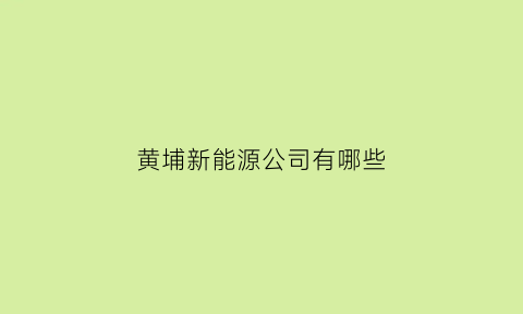 黄埔新能源公司有哪些