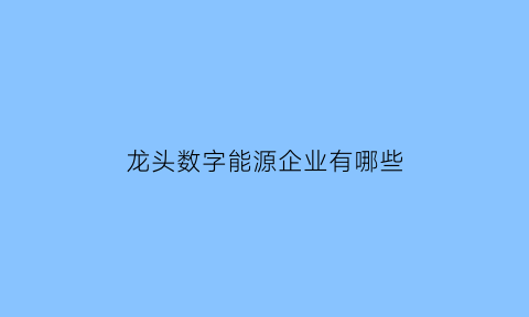 龙头数字能源企业有哪些(龙头数字能源企业有哪些公司)