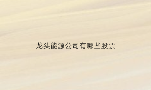 龙头能源公司有哪些股票