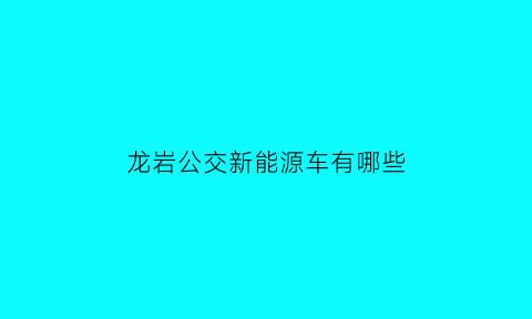 龙岩公交新能源车有哪些