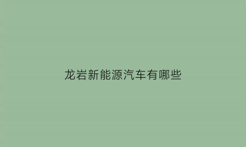 龙岩新能源汽车有哪些