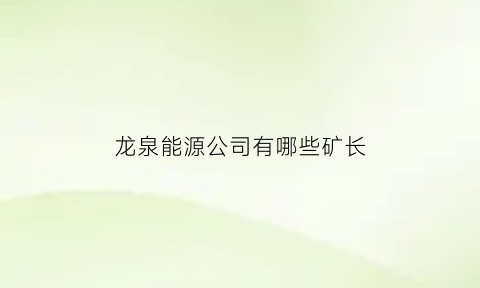 龙泉能源公司有哪些矿长