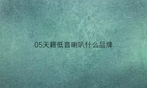 05天籁低音喇叭什么品牌(05款天籁音响什么牌子)