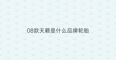 08款天籁是什么品牌轮胎(08款天籁属于老款还是新款)