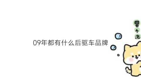 09年都有什么后驱车品牌(09年的车值得入手吗)