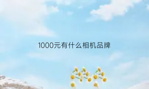 1000元有什么相机品牌