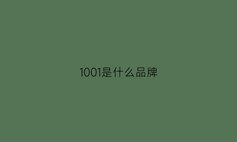 1001是什么品牌(100是什么品牌服装)