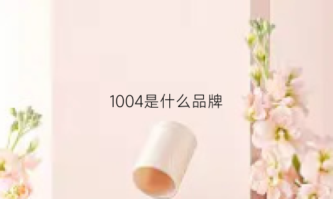 1004是什么品牌(10041是什么)