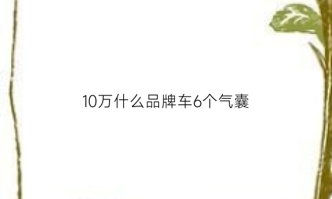 10万什么品牌车6个气囊(哪些suv有十个以上气囊)