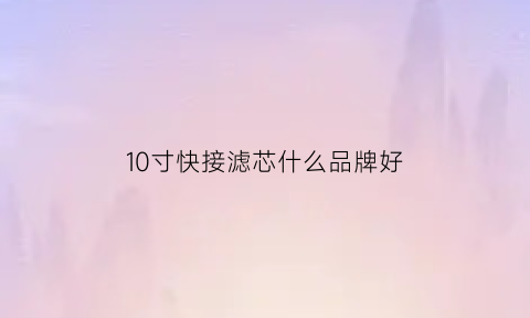 10寸快接滤芯什么品牌好(10寸滤芯通用吗)