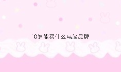 10岁能买什么电脑品牌(10岁能买什么电脑品牌的)