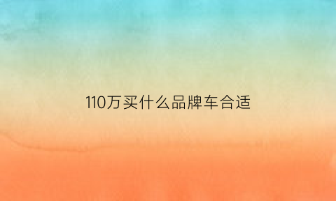 110万买什么品牌车合适(110万的车要多少购置)